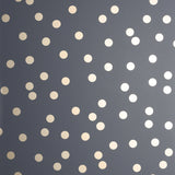 Priscella Charcoal Polka Dot Wallpaper by Arthouse AH685001