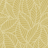 Mavis Mustard by Arthouse Leaf Wallpaper- Brewster Home Fashions AH692506