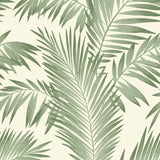 Cecil Green Tropical Wallpaper by Arthouse featuring layered palm leaves on a cream background