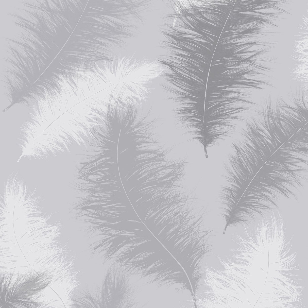 Sussurro Grey Feathers Wallpaper Roll AH901705 by Arthouse