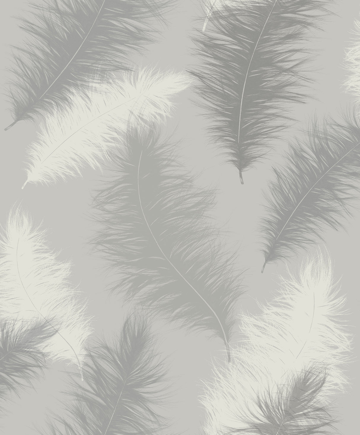 Sussurro Grey by Arthouse Feathers Wallpaper- Brewster Home Fashions AH901705
