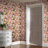 Deirdre Pink by Arthouse Floral Wallpaper- Brewster Home Fashions AH908006