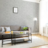 Victor Grey by Arthouse Plaster Wallpaper- Brewster AH908905