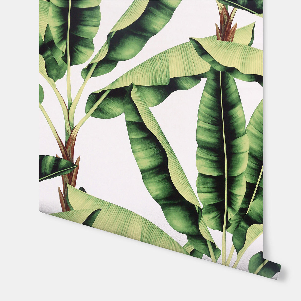 Musa Green by Arthouse Palm Tree Wallpaper – Brewster Home Fashions AH909604