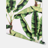 Musa Green by Arthouse Palm Tree Wallpaper – Brewster Home Fashions AH909604