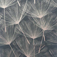 Kazue Metallic Dandelion Wallpaper in charcoal with soft metallic plumes
