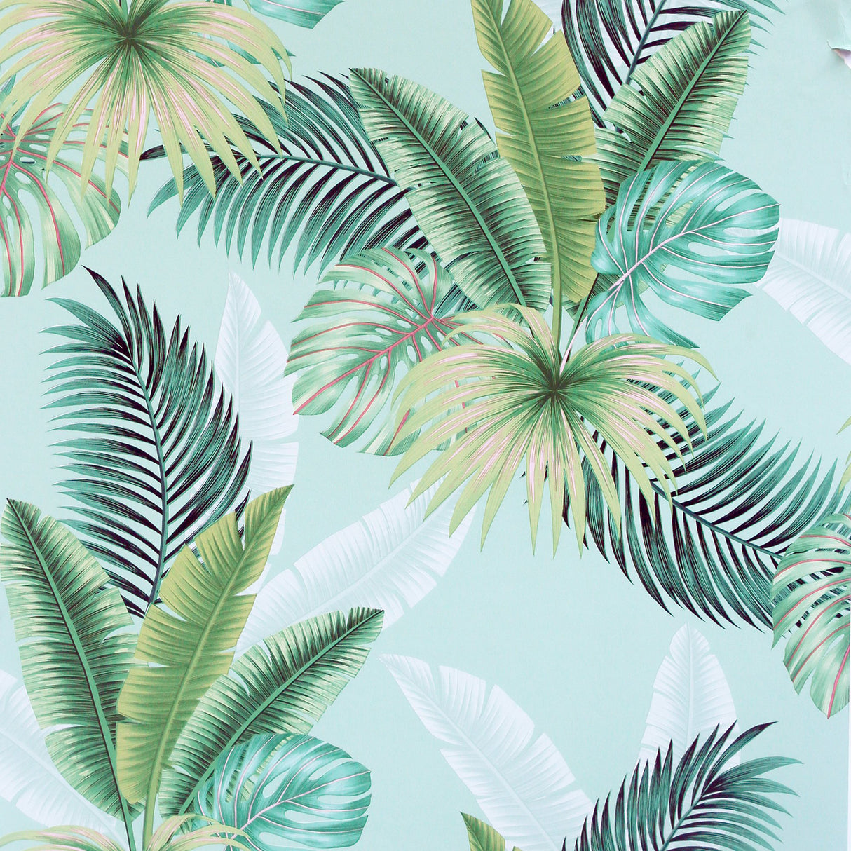 Miami Mint Palms wallpaper with tropical green leaves on mint background