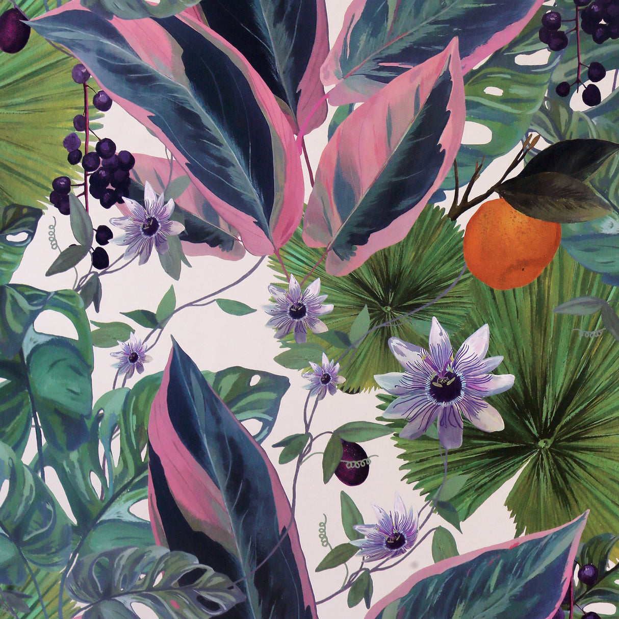 Etta White Tropical Wallpaper by Arthouse – Brewster AH921704