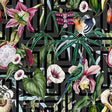 Close-up of Lucretia Multicolor Tropical Wallpaper with birds and flowers on a charcoal geometric background.