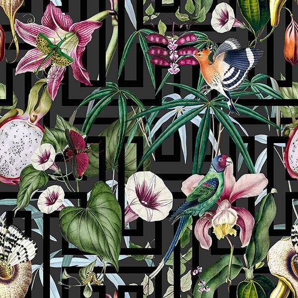 Close-up of Lucretia Multicolor Tropical Wallpaper with birds and flowers on a charcoal geometric background.