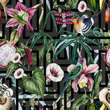 Close-up of Lucretia Multicolor Tropical Wallpaper with birds and flowers on a charcoal geometric background.