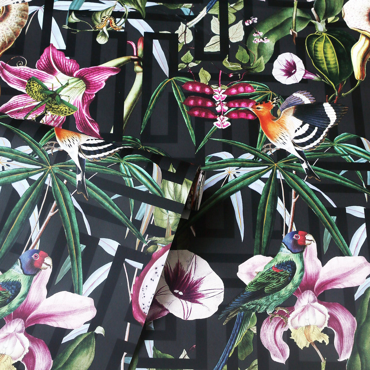 Lucretia Multicolor by Arthouse Tropical Wallpaper – Brewster AH922805