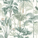 Freda Green Palm Trees wallpaper pattern in cool green tones