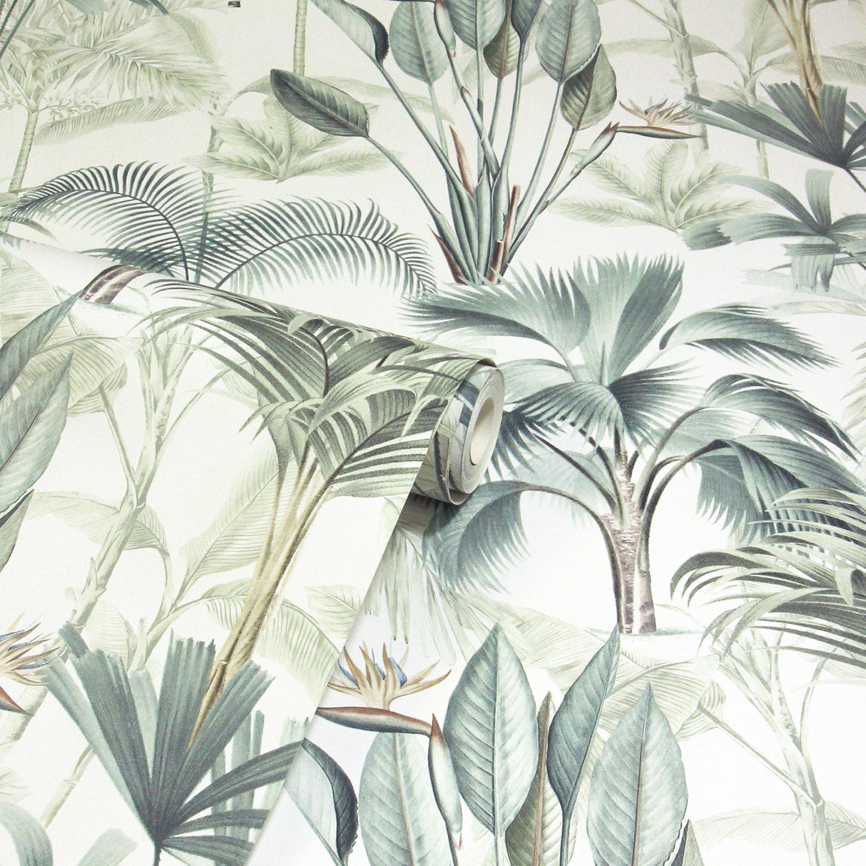 Freda Green by Arthouse Palm Trees Wallpaper- Brewster Home Fashions AH922908