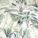 Freda Green by Arthouse Palm Trees Wallpaper- Brewster Home Fashions AH922908