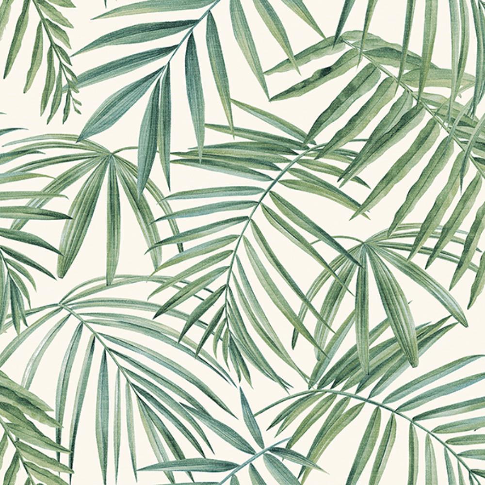 Juan Green Palm Leaves Wallpaper by Arthouse – tropical green palm fronds on white