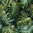 Harlynn Green Monstera Wallpaper by Arthouse – Brewster Home Fashions AH924108