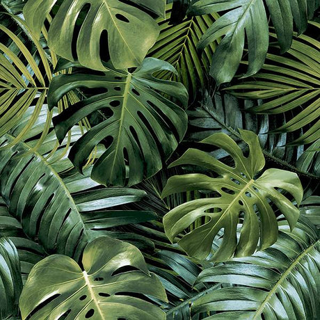 Harlynn Green Monstera Wallpaper by Arthouse – Brewster Home Fashions AH924108
