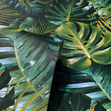 Harlynn Green by Arthouse Monstera Wallpaper – Brewster Home Fashions AH924108