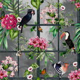 Dorothea Multicolor Tropical Birds Wallpaper by Arthouse – Brewster Home Fashions AH924408