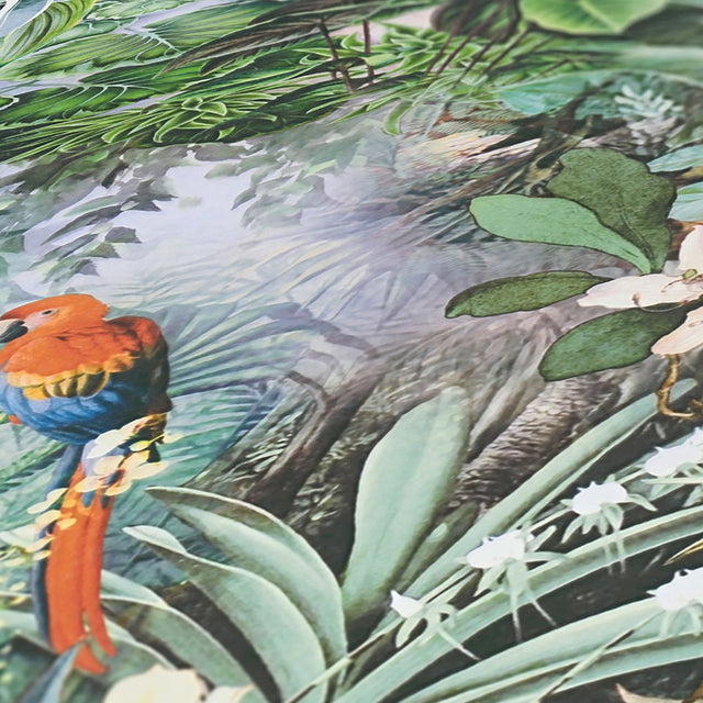 Cordian Sky Blue Rainforest Landscape Wallpaper