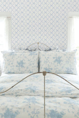 Baby Bow Blue Bella Ribbon Trellis Wallpaper with Whimsical Graphic Pattern - A?Street Prints AST4168