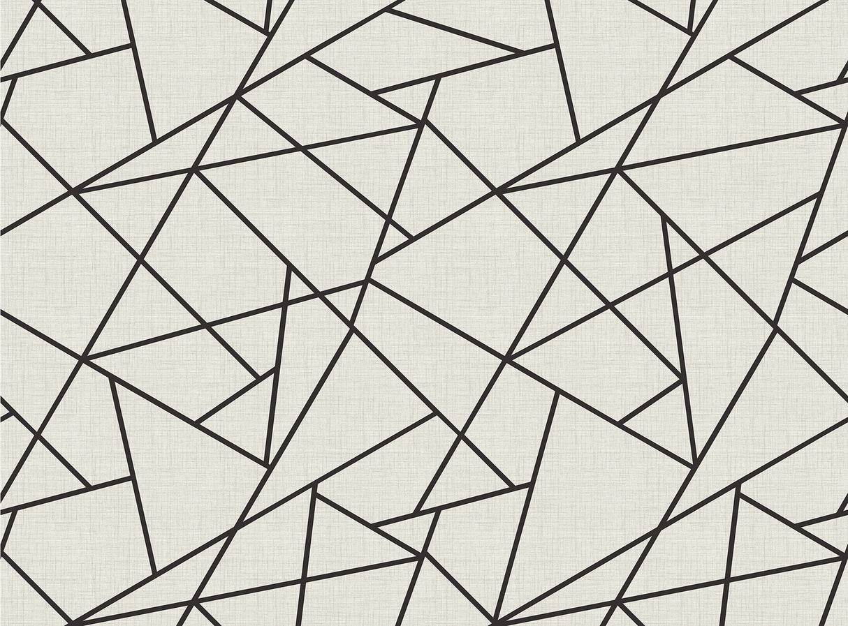 Modern Lines Black on Dove Grey Wall Mural with Geometric Grid - A?Street Prints ASTM3914