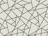 Modern Lines Black on Dove Grey Wall Mural with Geometric Grid - A?Street Prints ASTM3914