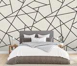 Modern Lines Black on Dove Grey Wall Mural with Geometric Grid - A?Street Prints ASTM3914