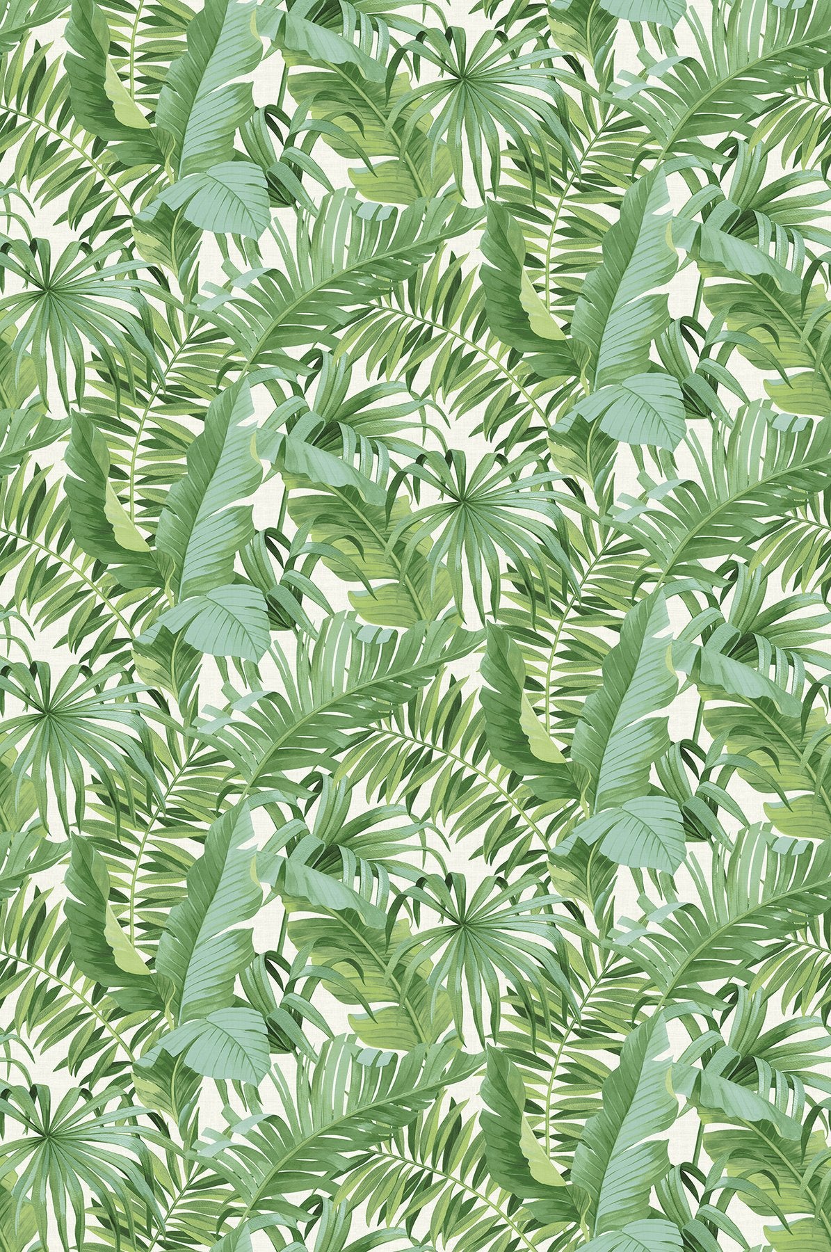 Tropical Palm Leaf Green Wall Mural with Lush Rainforest Leaves Pattern - A-Street Prints ASTM5047