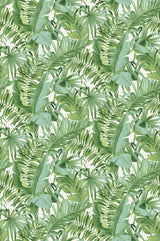Tropical Palm Leaf Green Wall Mural with Lush Rainforest Leaves Pattern - A-Street Prints ASTM5047