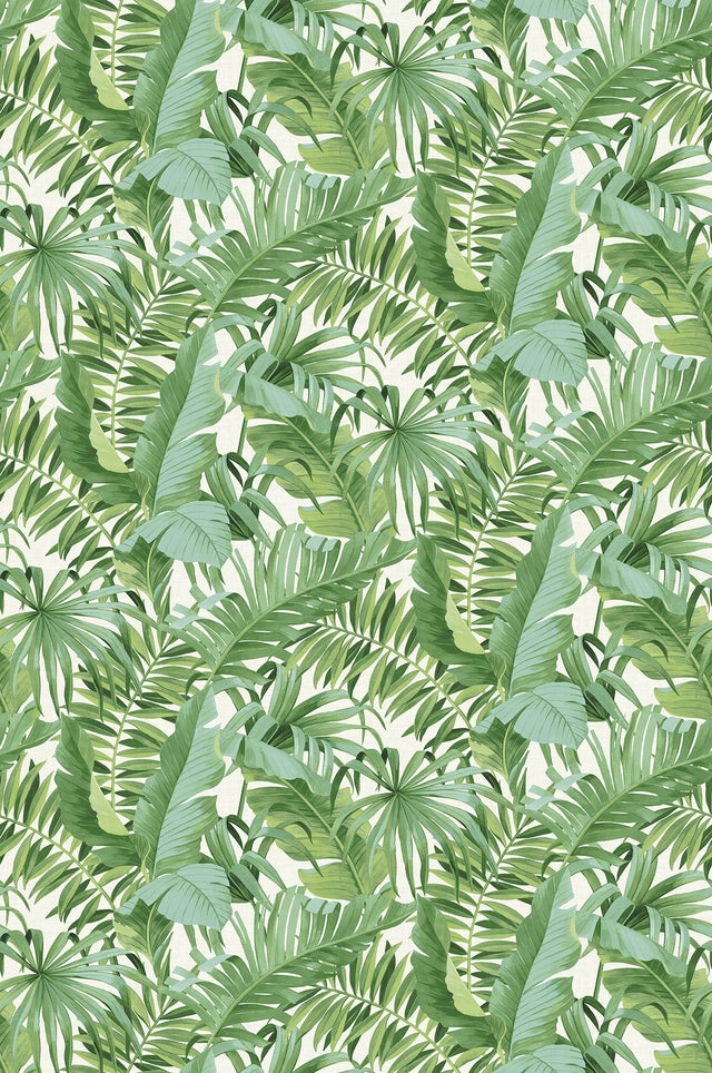 Tropical Palm Leaf Green Wall Mural with Lush Rainforest Leaves Pattern - A-Street Prints ASTM5047