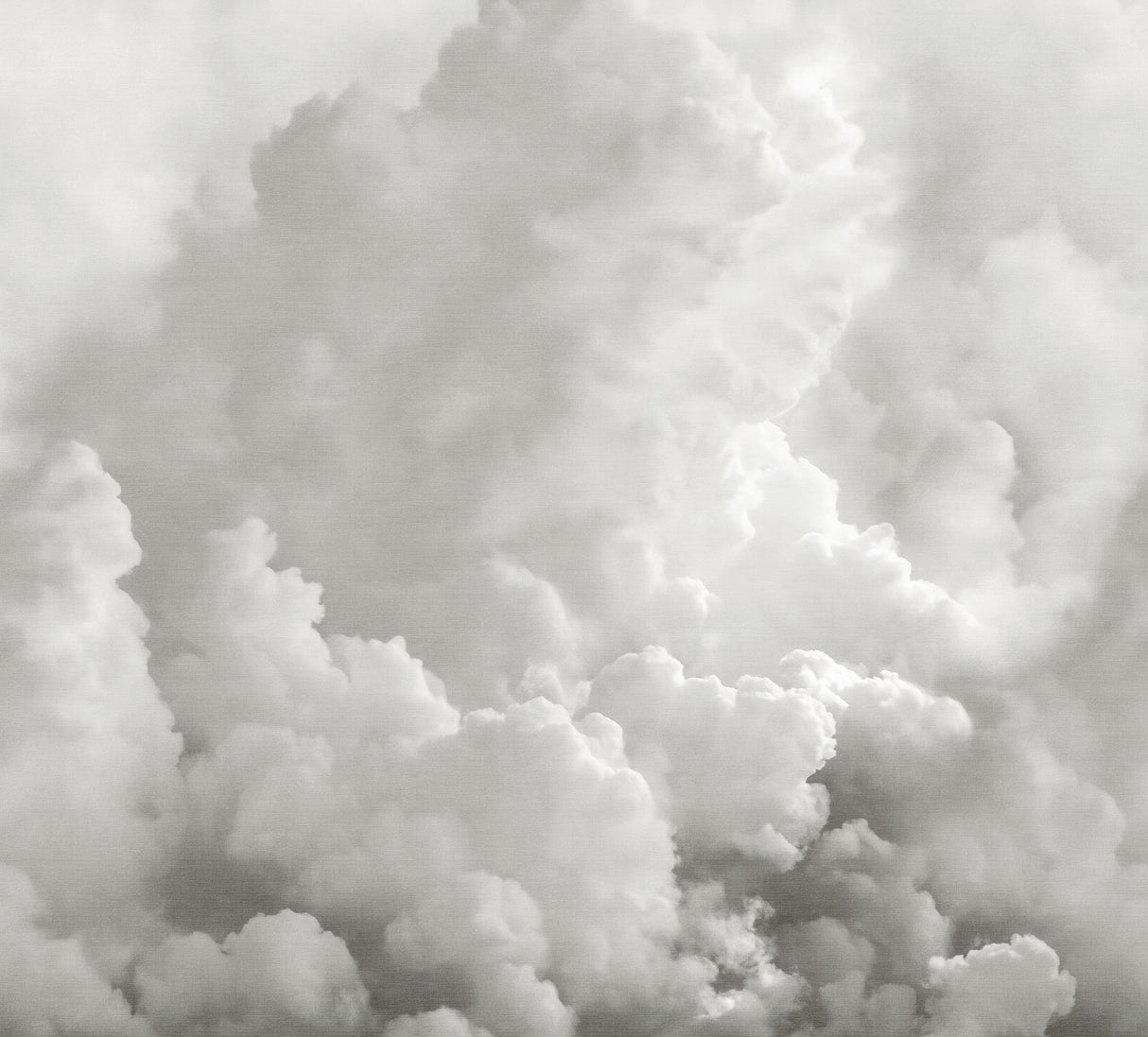 In the Clouds Dove Grey Clouds Wall Mural - A-Street Prints ASTM5054