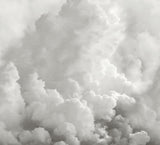 In the Clouds Dove Grey Clouds Wall Mural - A-Street Prints ASTM5054