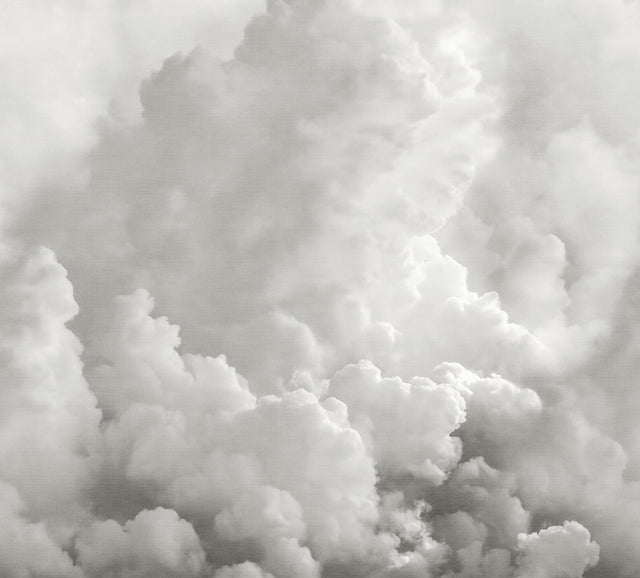 In the Clouds Dove Grey Clouds Wall Mural - A-Street Prints ASTM5054