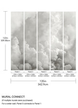 In the Clouds Dove Grey Clouds Wall Mural - A-Street Prints ASTM5054