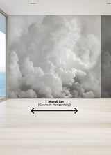 In the Clouds Dove Grey Clouds Wall Mural - A-Street Prints ASTM5054