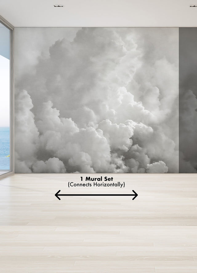 In the Clouds Dove Grey Clouds Wall Mural - A-Street Prints ASTM5054