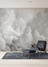 In the Clouds Dove Grey Clouds Wall Mural - A-Street Prints ASTM5054