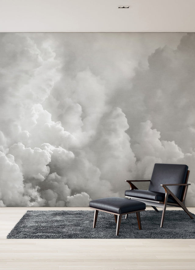 In the Clouds Dove Grey Clouds Wall Mural - A-Street Prints ASTM5054