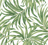 Bali Leaves Yellow & Tan Wallpaper with Tropical Botanical Leaf Pattern - York AT7050