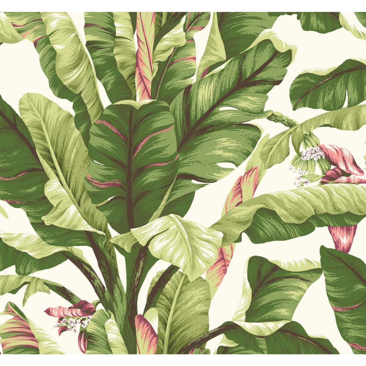 Banana Leaf Dark Brown & Pink Wallpaper with Tropical Botanical Leaf Motif - York AT7067