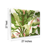 Banana Leaf Dark Brown & Pink Wallpaper with Tropical Botanical Leaf Motif - York AT7067
