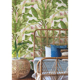 Banana Leaf Dark Brown & Pink Wallpaper with Tropical Botanical Leaf Motif - York AT7067