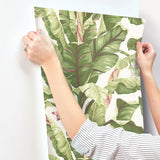 Banana Leaf Dark Brown & Pink Wallpaper with Tropical Botanical Leaf Motif - York AT7067