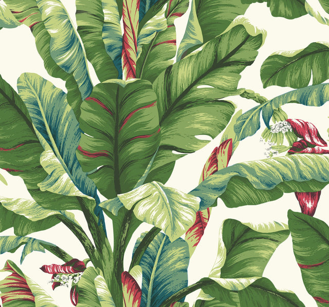 Banana Leaf Aqua & Red Wallpaper with Tropical Banana Palm Motif - York AT7068