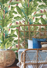 Banana Leaf Aqua & Red Wallpaper with Tropical Banana Palm Motif - York AT7068