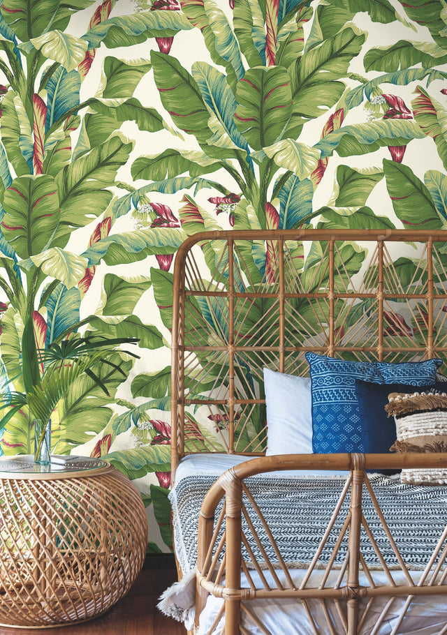 Banana Leaf Aqua & Red Wallpaper with Tropical Banana Palm Motif - York AT7068