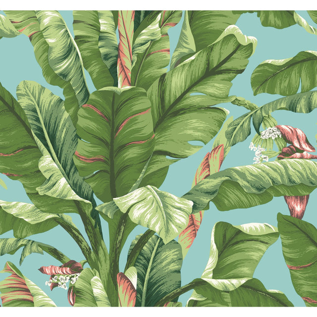 Banana Leaf Aqua & White Wallpaper with Tropical Banana Leaf Motif - York AT7070