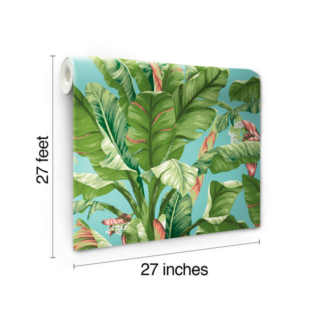 Banana Leaf Aqua & White Wallpaper with Tropical Banana Leaf Motif - York AT7070